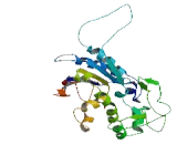 Phosphoglycerate Mutase 3 (PGAM3)