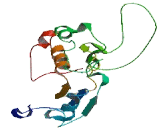 Phosphoglycerate Mutase 4 (PGAM4)