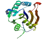 Phosphoglycerate Mutase 5 (PGAM5)