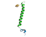 FXYD Domain Containing Ion Transport Regulator 6 (FXYD6)