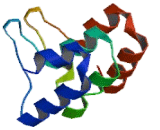 Phosphoinositide-3-Kinase Adaptor Protein 1 (PIK3AP1)