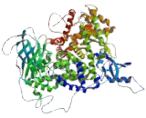 Phosphoinositide-3-Kinase Catalytic Gamma Polypeptide (PIK3Cg)