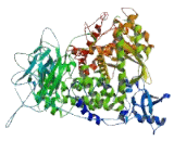 Phosphoinositide-3-Kinase Class-2-Gamma Polypeptide (PIK3C2g)