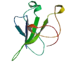 Phosphoinositide-3-Kinase Class 3 (PIK3C3)