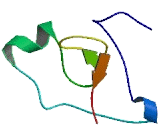 Phosphoinositide-3-Kinase Interacting Protein 1 (PIK3IP1)