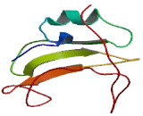 Phosphoinositide-3-Kinase Regulatory Subunit 2 (PIK3R2)