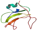 Phosphoinositide-3-Kinase Regulatory Subunit 3 (PIK3R3)