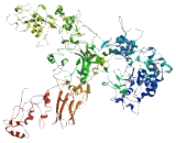 Phosphoinositide-3-Kinase Regulatory Subunit 4 (PIK3R4)