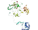 Phosphoinositide-3-Kinase Regulatory Subunit 6 (PIK3R6)