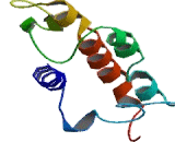 Phospholipase A2, Group IIC (PLA2G2C)