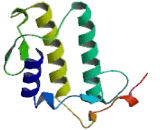 Phospholipase A2, Group IIF (PLA2G2F)