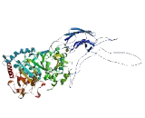 Phospholipase A2, Group IVB (PLA2G4B)