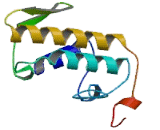 Phospholipase A2, Group V (PLA2G5)