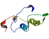 Phospholipase A2, Group XII (PLA2G12)