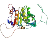 Phospholipase A2 Group VII (LpPLA2)