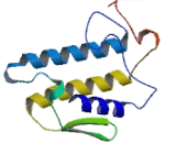 Phospholipase A2, Pancreas (pPLA2)