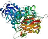 Phospholipase C Beta 1 (PLCB1)