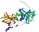 Phospholipase C Like Protein 1 (PLCL1)