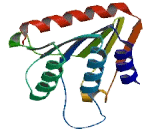 Phospholipase D3 (PLD3)