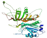 Phospholipase D5 (PLD5)