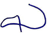 Phospholipid Scramblase 3 (PLSCR3)