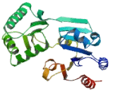 Phosphomannomutase 2 (PMM2)