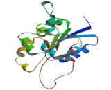 Phosphopantothenoylcysteine Decarboxylase (PPCDC)