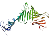 Phosphoprotein Associated With Glycosphingolipid Microdomains 1 (PAG1)