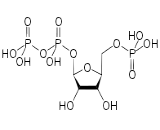 Phosphoribosyl Pyrophosphate (PRPP)