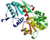 Phosphoribosyl Pyrophosphate Synthetase Associated Protein 1 (PRPSAP1)