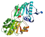 Phosphoribosyl Pyrophosphate Synthetase Associated Protein 2 (PRPSAP2)