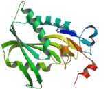 Phosphoribosyl Transferase Domain Containing Protein 1 (PRTFDC1)