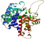 Phosphorylase Kinase Alpha 1 (PHKa1)