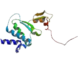 Phosphorylase Kinase Beta (PHKb)