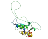 Phosphoseryl tRNA Kinase (PSTK)