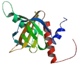 Phosphotyrosine Interaction Domain Containing Protein 1 (PID1)