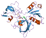 Phthalate Dioxygenase Reductase (PDR)