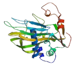 Phytanoyl Coenzyme A-2-Hydroxylase (PHYH)