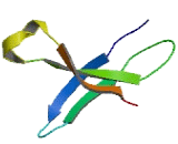 Phytanoyl Coenzyme A-2-Hydroxylase Interacting Protein Like Protein (PHYHIPL)