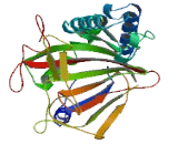 Phytanoyl Coenzyme A Dioxygenase Domain Containing Protein 1 (PHYHD1)