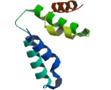 PiggyBac Transposable Element Derived Protein 1 (PGBD1)