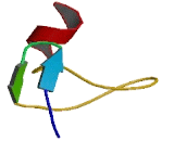 PiggyBac Transposable Element Derived Protein 2 (PGBD2)