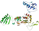 PiggyBac Transposable Element Derived Protein 3 (PGBD3)