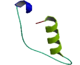 PiggyBac Transposable Element Derived Protein 5 (PGBD5)