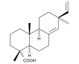 Pimaric Acid (PA)