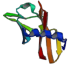 Placenta Specific Protein 1 (PLAC1)