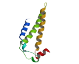 Plasma Membrane Proteolipid (PLLP)