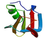 Plasminogen Like Protein A (PLGLA)