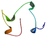 Plasminogen Like Protein B (PLGLB)