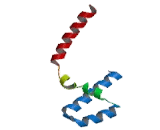 Platelet Activating Factor Acetylhydrolase Ib1 (PAFAH1B1)